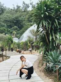 【大自然之旅】仙湖植物園：適合現在前往！