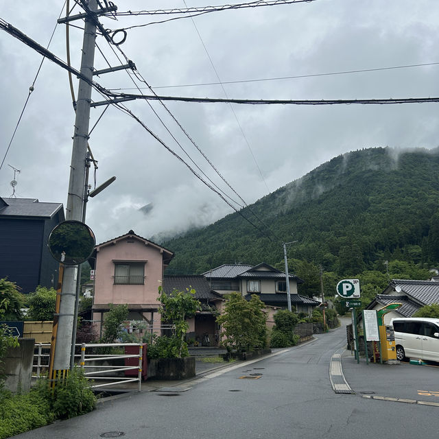 귀여운 시바와 지브리 감성 물씬 유후인 💚