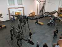 Fun Visit to the Frankfurt Natural History Museum