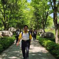 初夏遊南京，漫步明孝陵