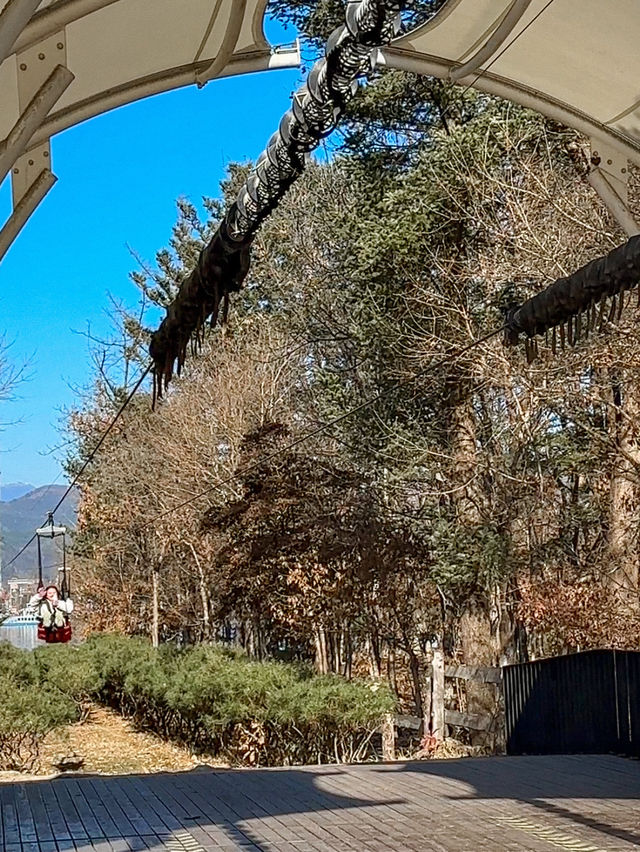 韓國首爾｜必玩高空飛索飛入南怡島