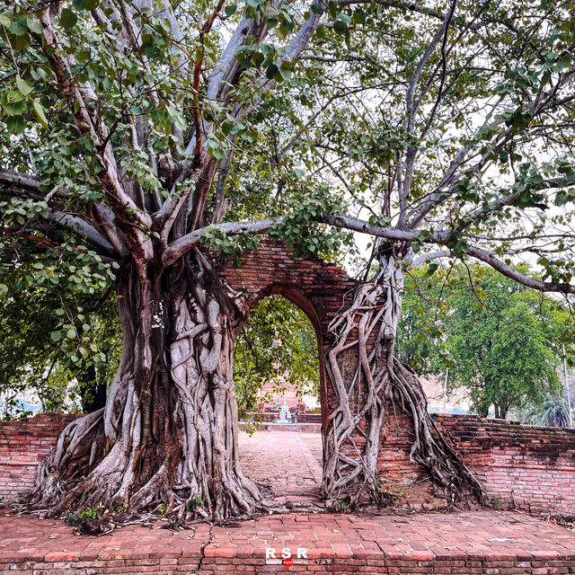 วัดพระงาม (ประตูแห่งกาลเวลา) จ.อยุธยา