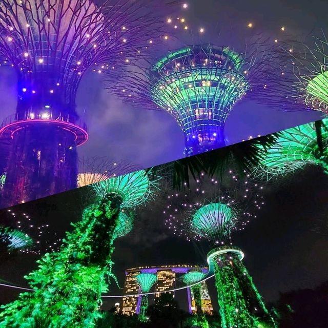【新加坡】Supertree Grove：壯觀景色，值得欣賞🌟🌟🌟🌟🌟