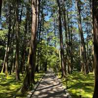 伽耶院：古老寺院庭園，心靈淨化
