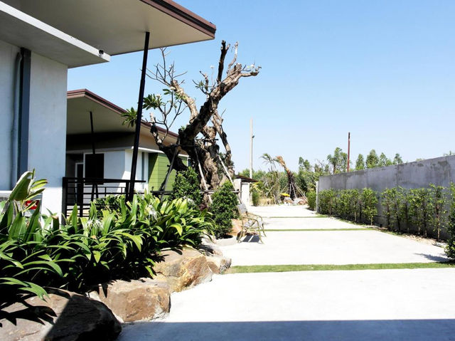 Mila garden