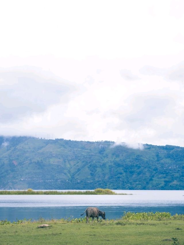 【インドネシア】美しい湖を見るならトバ湖