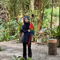 Lokkawi wildlife, Sabah