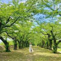【北海道】函館の美しい自然を満喫