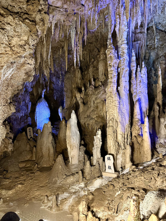 📍おきなわワールド