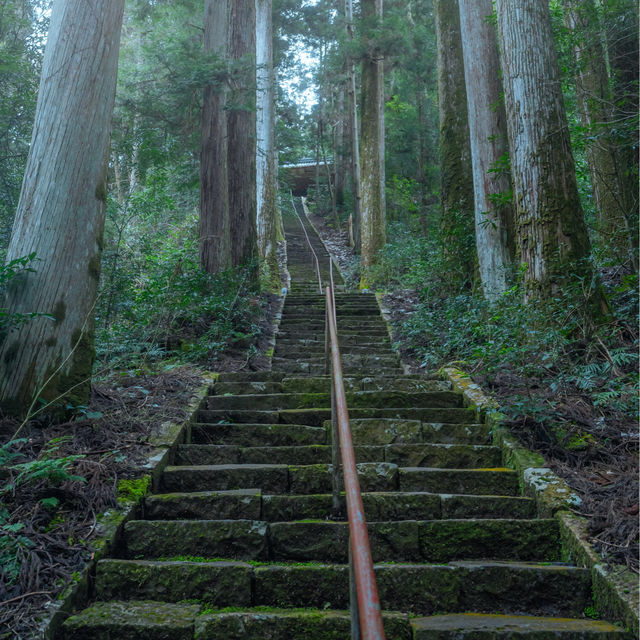 滝山に鎮座する苔むすの神社