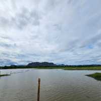 จุดชมวิวหนองสมอ