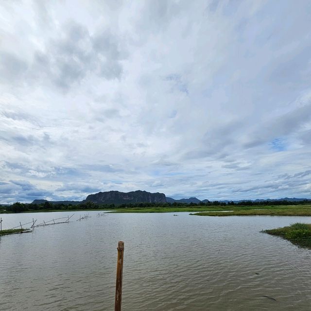 จุดชมวิวหนองสมอ