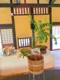 【和歌山】山尾の隠れた名店、そば 愚庵で味わう絶品そば🍜✨