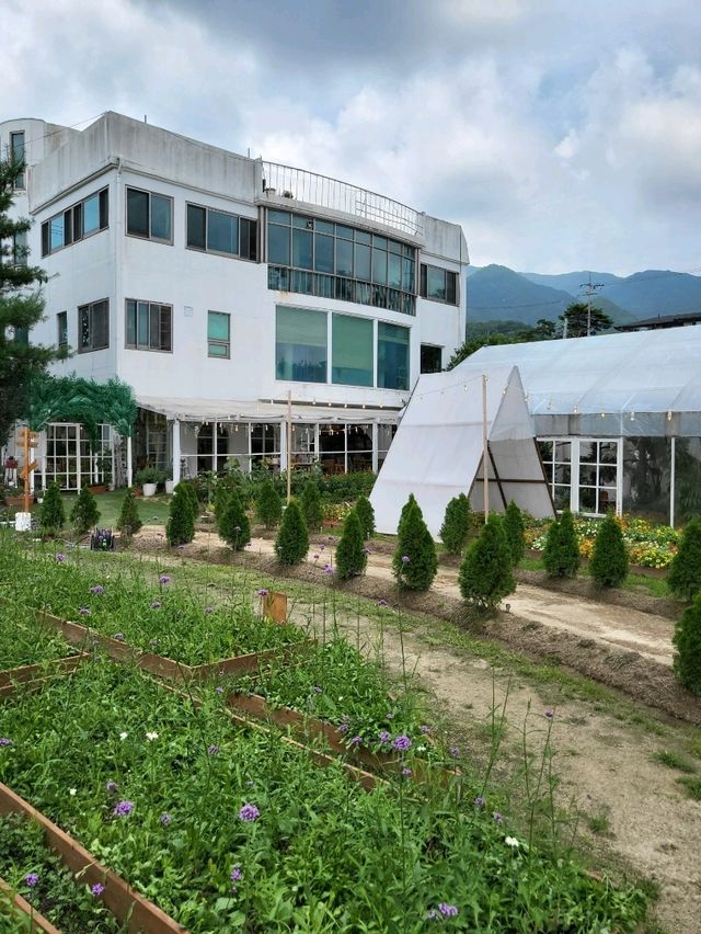 유럽수국이 피는 원주 사진정원