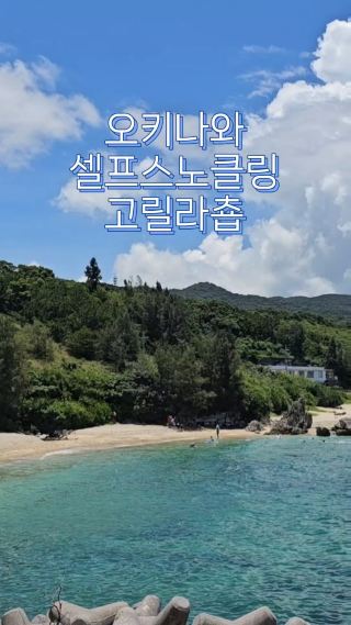셀프로 즐기는 스노클링, 고릴라춉🥽