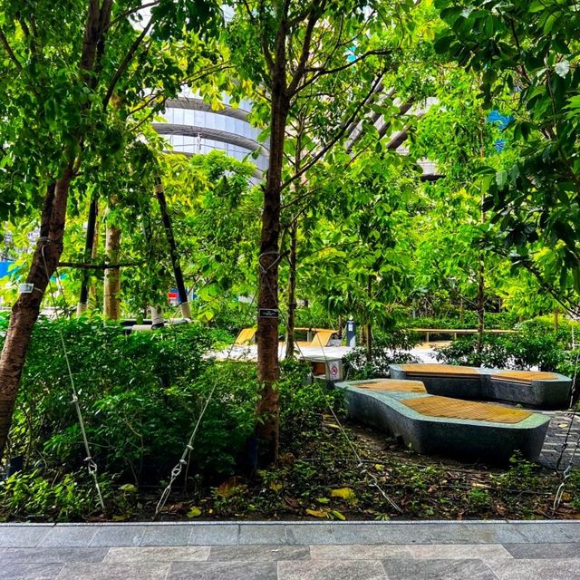 ไป (S)-Oasis (Tower)กันนะ มี Café Amazon ด้วย