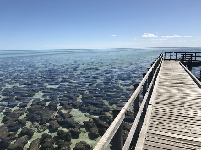 柏斯🦘 - 西澳大利亞🇦🇺旅遊最佳起點