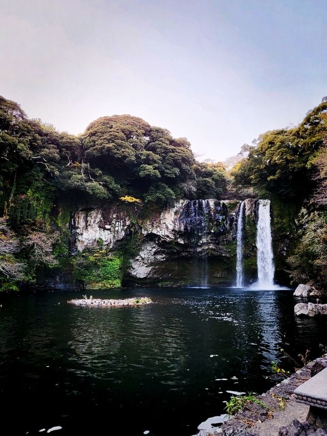 가는길부터 제주 감성 뿜뿜🍊 제주도 천지연 폭포🏞
