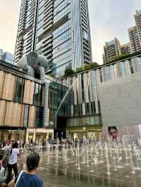 Shenzhen’s Ultimate Exploration: From Bustling Streets to Scenic Promenades