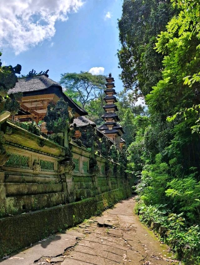 The Campuhan Ridge Walk, a nature escapade in Ubud, Bali