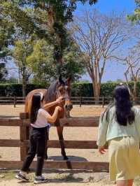 แลนด์มาร์คเขาใหญ่ Rancho Charnvee