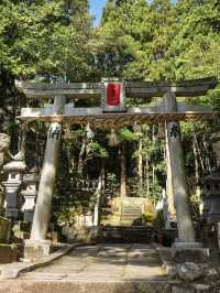 〜鳥取県〜試練に勝つ！復興と再生のパワースポット神社！