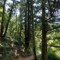 和美山步道：賞景登山健行，享受綠色長廊的靜謐祥和