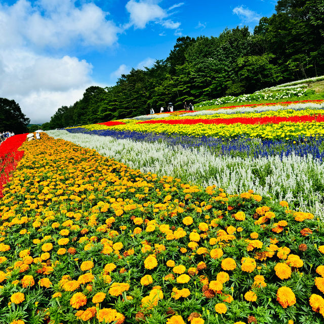 Tambara Lavender Park