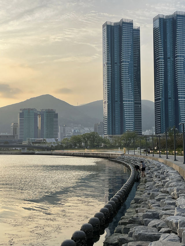 부산 신상공원 산책가기 부산역이서 연결된 친수공원🌁🌉