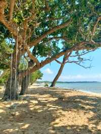 Peaceful Beachfront Resort @ Tunamaya Desaru