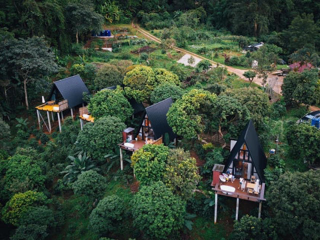 ที่พักในหมู่บ้านกลางสายหมอก บ้านสวนผาฮี้