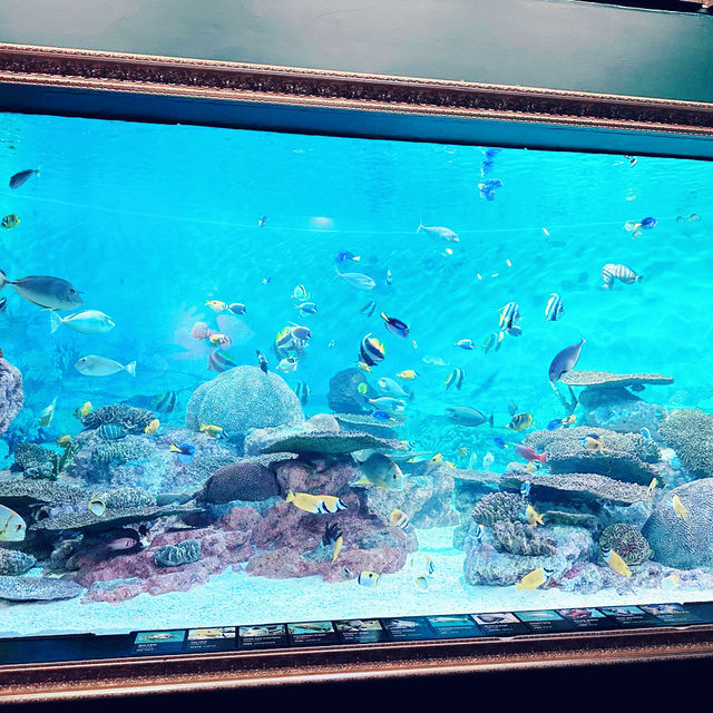 【首爾親子遊】Coex水族館：色彩繽紛海洋生物，100種旅行方式