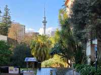 Auckland on a budget