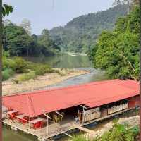 Into the Wild: Uncover the Mysteries of Taman Negara, Pahang