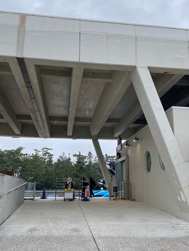 【千葉県:鴨川】行って良かった！鴨川シーワールド