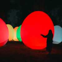 ไปดู Digiata Art สุดเท่ที่ teamLab Osaka กัน
