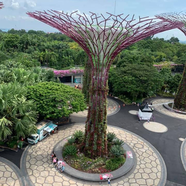 濱海灣花園天空步道-超級樹