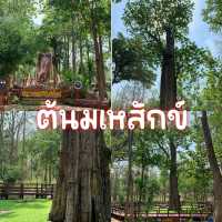 ต้นมเหสักข์