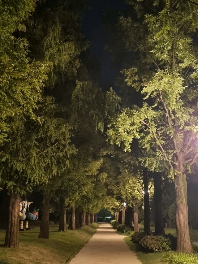 순천만 숲체험