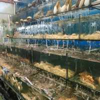 Exploring A Night of Sights & Bites at Phu Quoc Largest Night Market