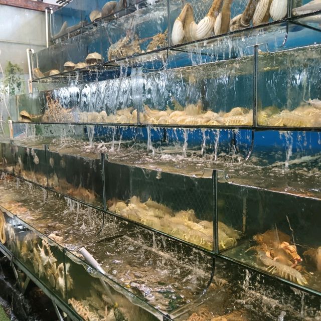 Exploring A Night of Sights & Bites at Phu Quoc Largest Night Market