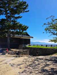 【松山城:愛媛県松山市】松山市のシンボル!!132mの勝山という山の上にあるお城🏯