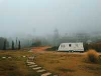 🌳Rain Glamping เชียงราย