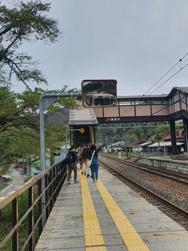 นั่งรถไฟเที่ยวต่างจังหวัดในญี่ปุ่น