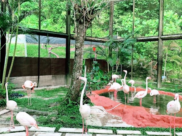 Taman Tumbina Zoo