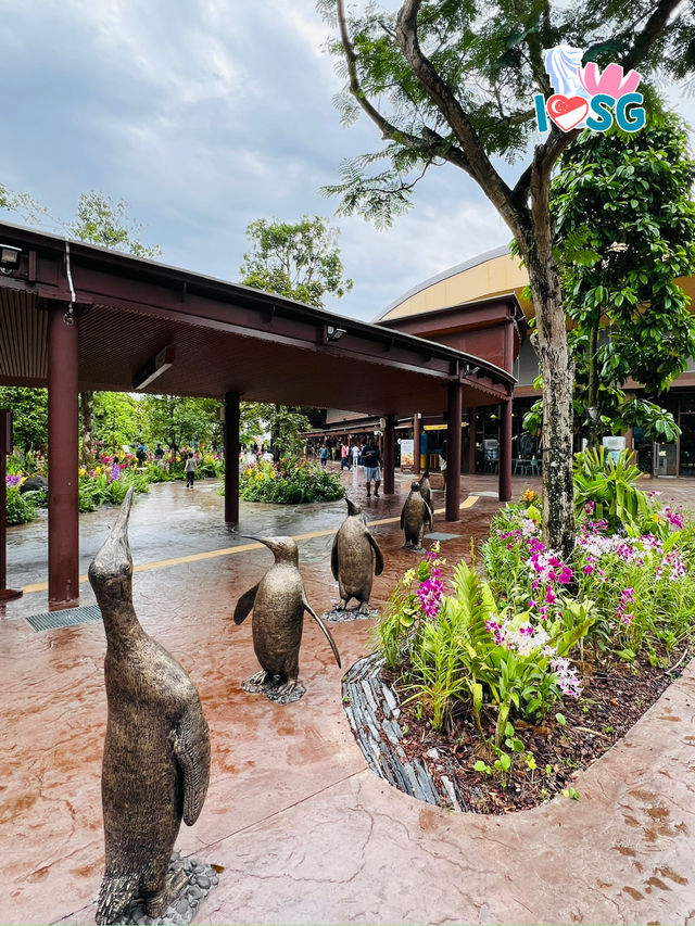 🇸🇬 Welcome to Bird Paradise 