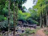 พบความเงียบสงบ ที่น้ำตกศรีดิษฐ์