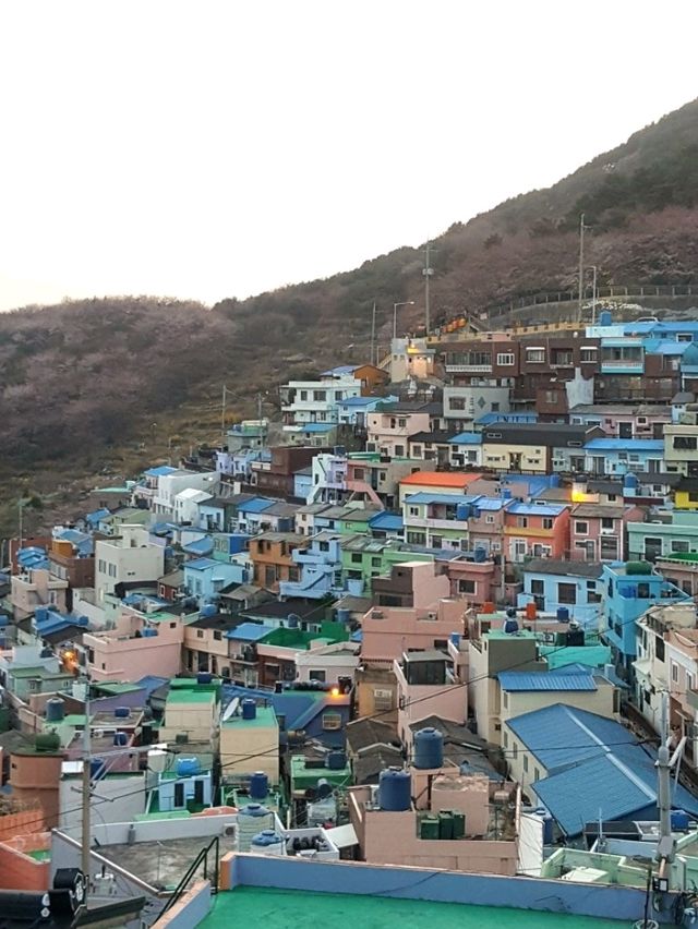 A HIDDEN GEM IN BUSAN