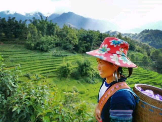 A Trekking Adventure to Ta Van Village, Sapa: Culture, Nature, and Homestays