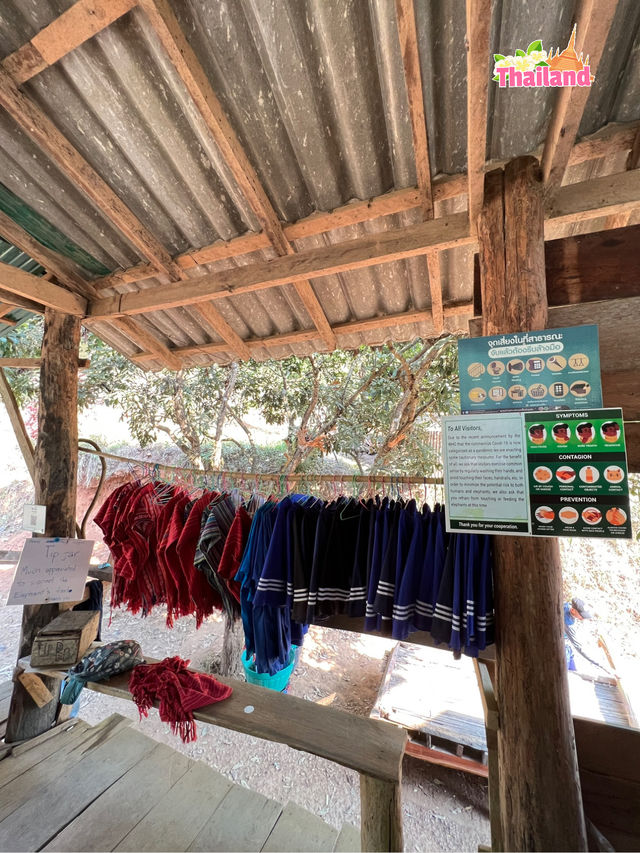 🇹🇭 Chiangmai White Water Rafting